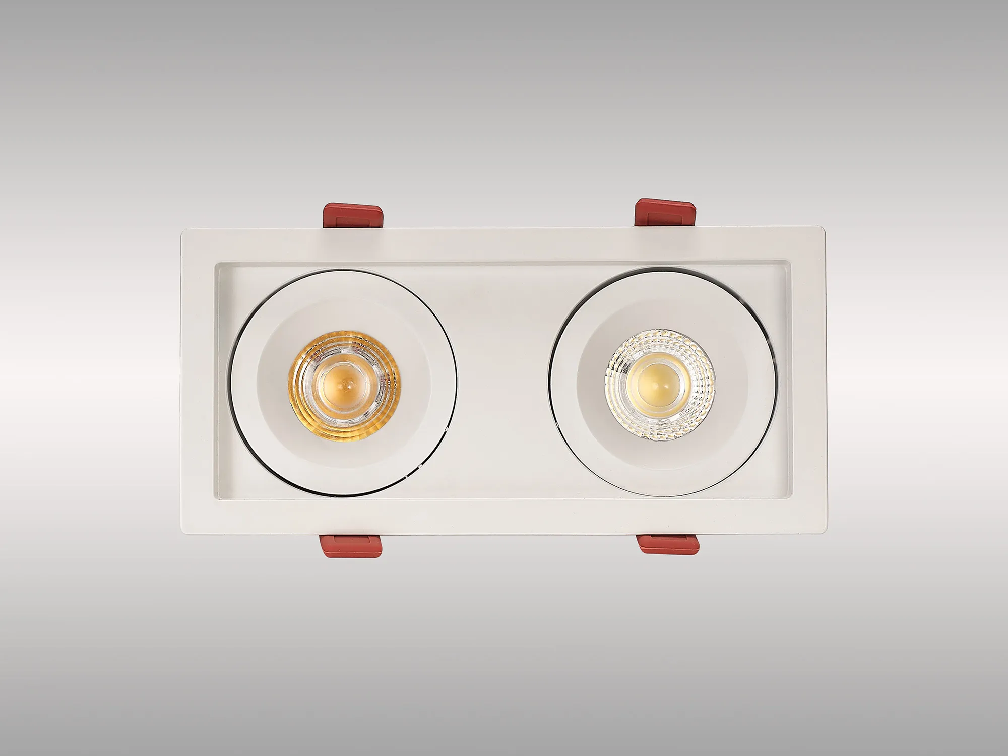 Bezz 12-2 Powered by Tridonic 2x12W 2x1200lm 4000K 24° LED Engine,350mA ,  Matt White  Adj. Deep Recess spot light,  IP20. DM202007  Dlux Bezz 12-2